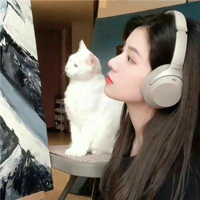 成凰录